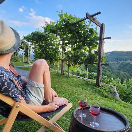 Vineyard Cottage Podrzaj Otočec Zewnętrze zdjęcie
