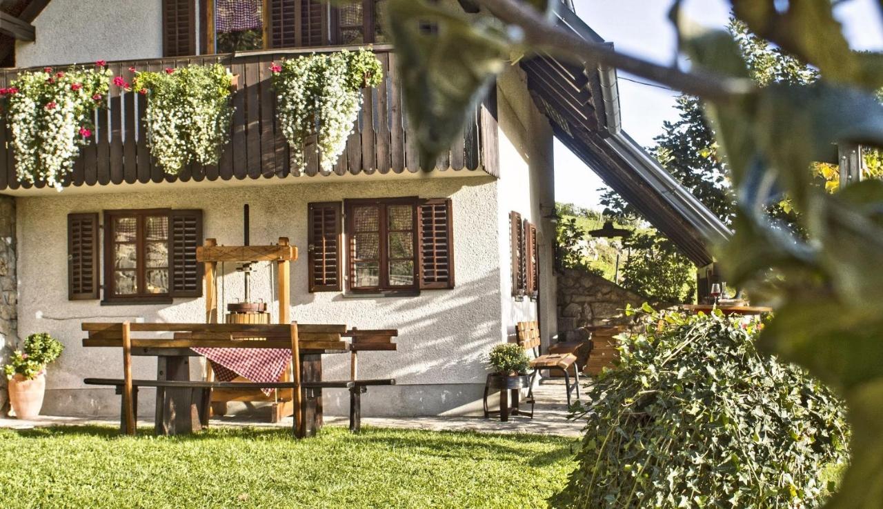 Vineyard Cottage Podrzaj Otočec Zewnętrze zdjęcie