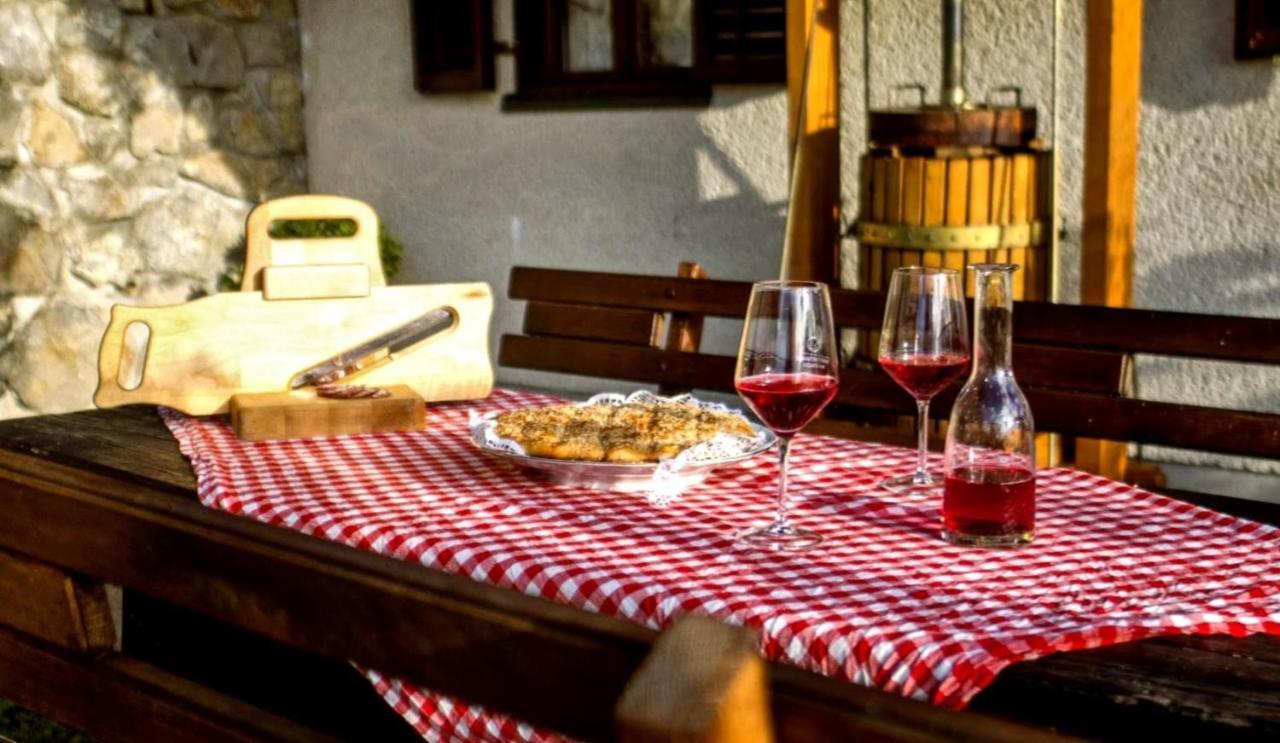 Vineyard Cottage Podrzaj Otočec Zewnętrze zdjęcie