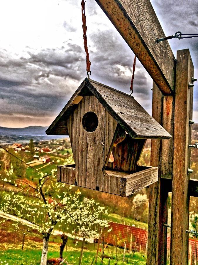 Vineyard Cottage Podrzaj Otočec Zewnętrze zdjęcie