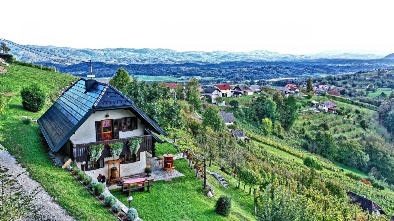 Vineyard Cottage Podrzaj Otočec Zewnętrze zdjęcie