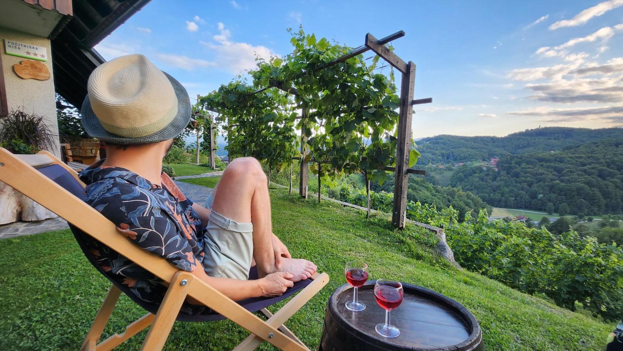 Vineyard Cottage Podrzaj Otočec Zewnętrze zdjęcie